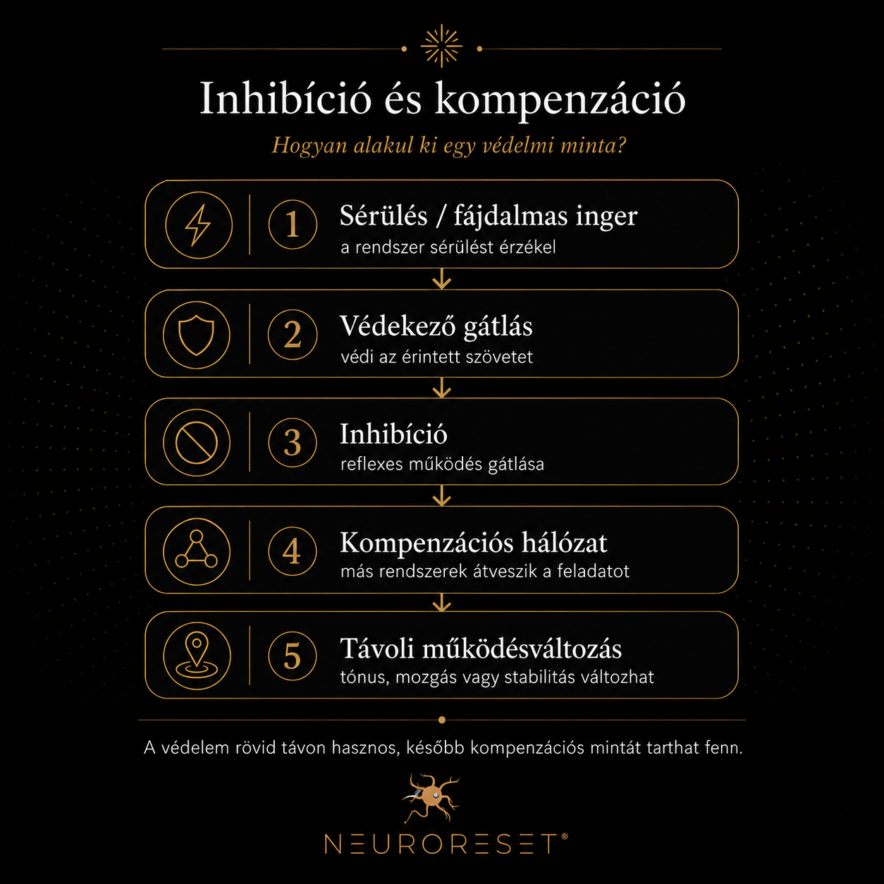 Inhibíció és kompenzáció – hogyan alakul ki egy védelmi minta?
