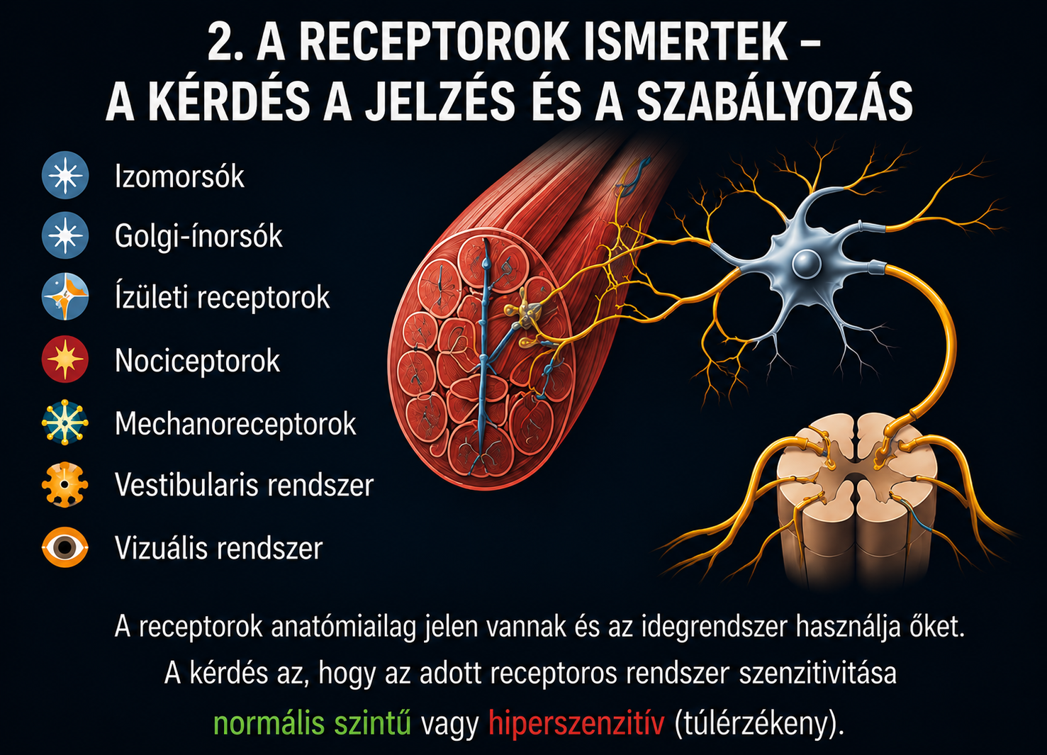 Reflexes kontroll