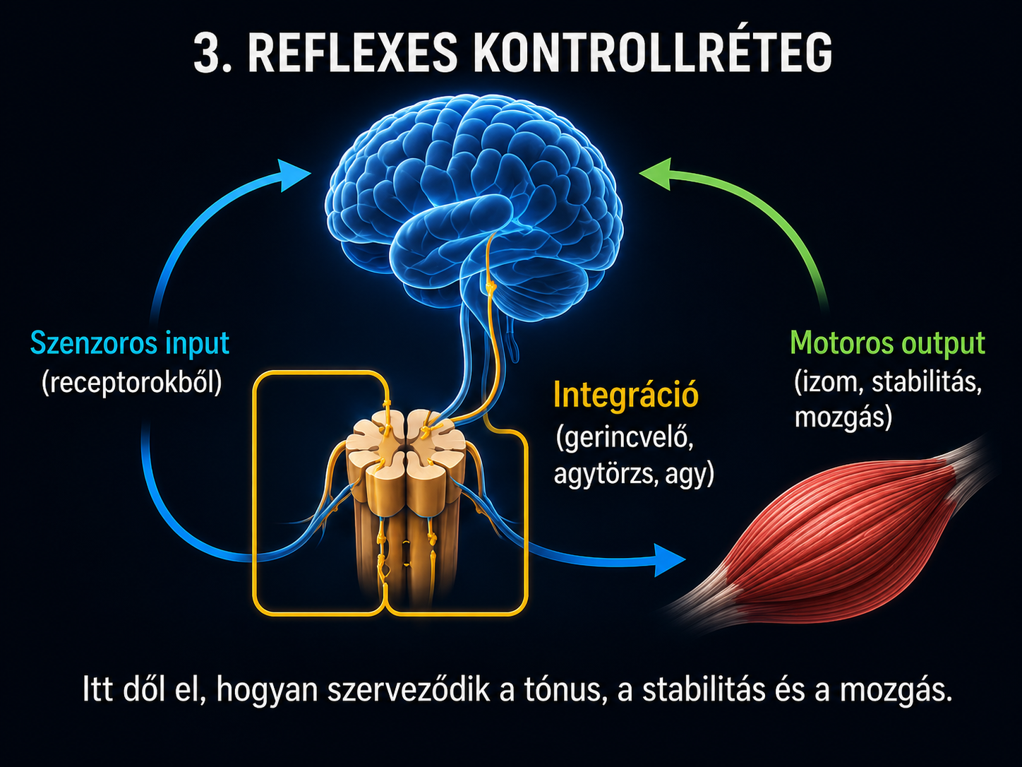 Funkcionális hozzáférés