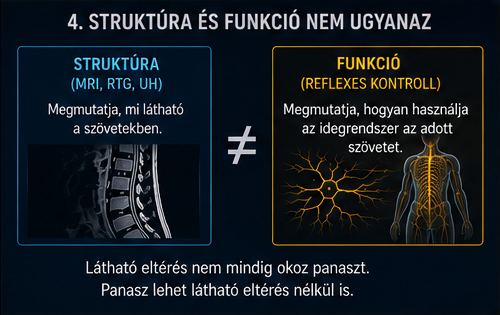 Strukturális és funkcionális szemlélet