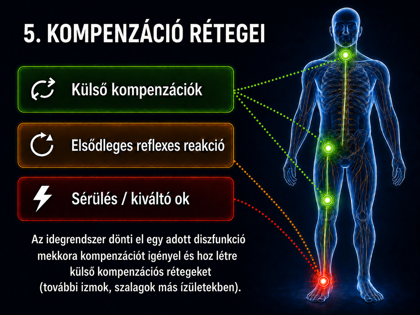 Reflexes kompenzáció