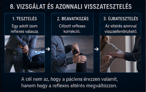 Rétegződés