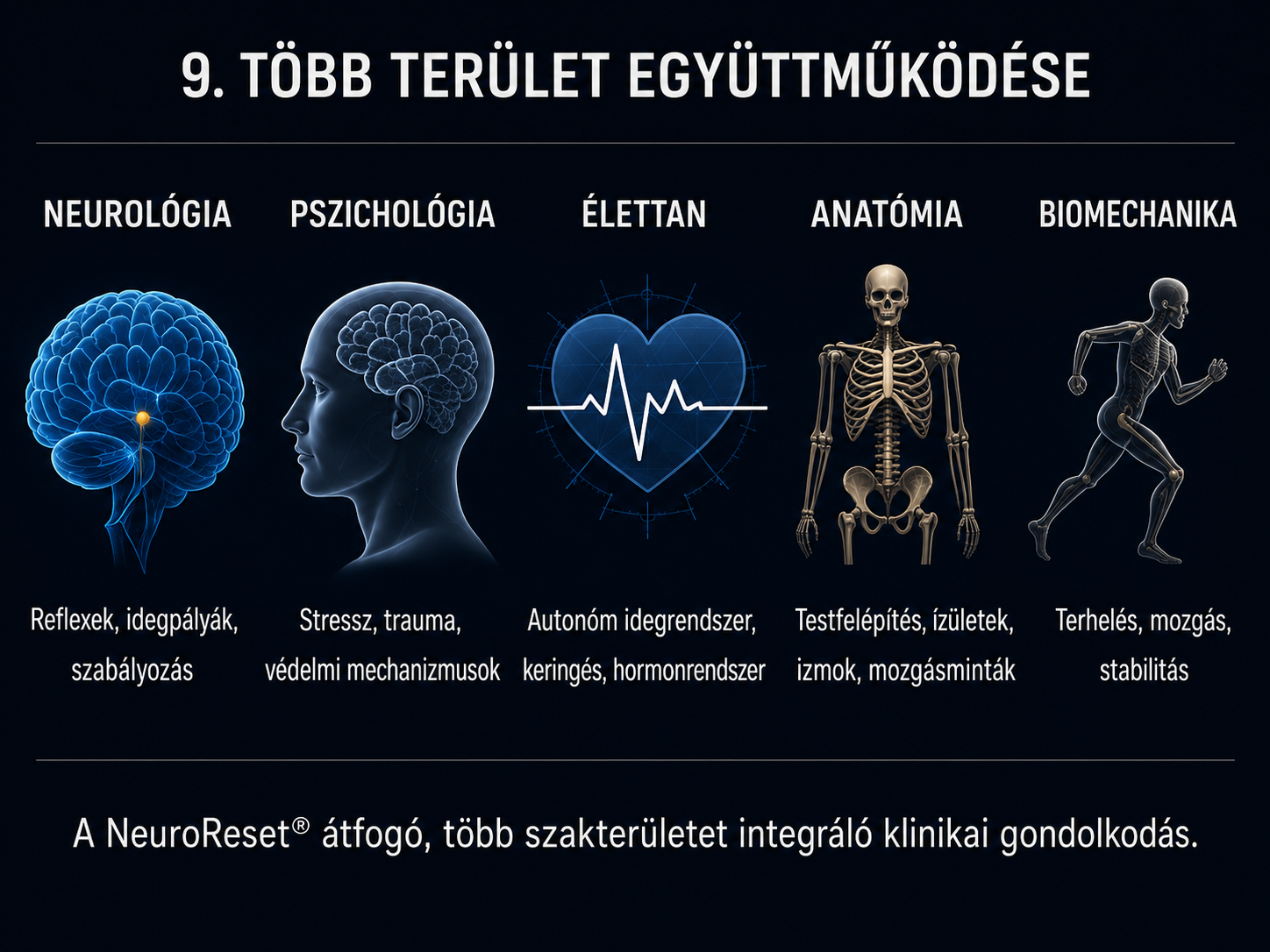 Vizsgálat folyamata